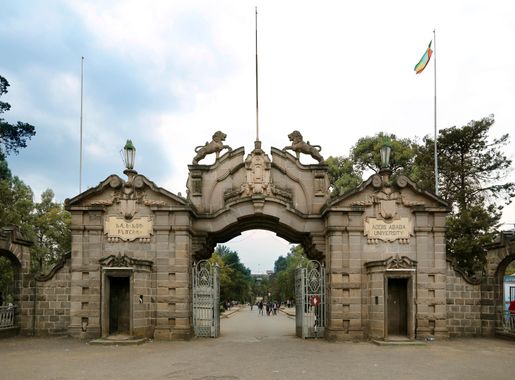 File:Parco dell'università di addis abeba, 09.jpg - Wikimedia Commons