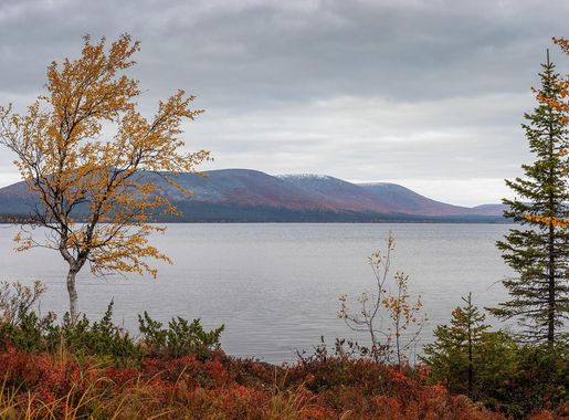 Tiedosto:Pallastunturi and Pallasjärvi lake, Kittilä, Lapland, Finland,  2021 September.jpg – Wikipedia