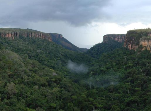 Ficheiro:Parque Nacional Chapada dos Guimarães.jpg – Wikipédia, a  enciclopédia livre