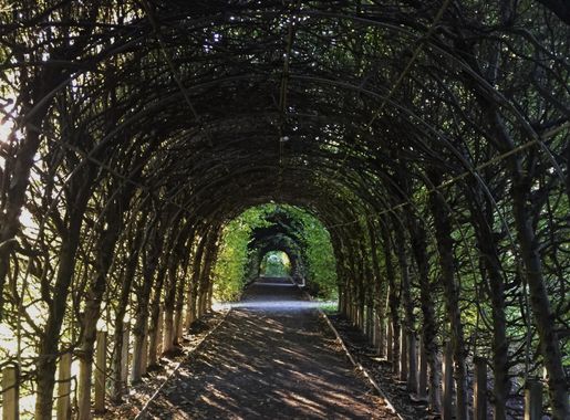 File:Covered path at Snug Harbor Cultural Center & Botanical Garden, Staten  Island, NYC.jpg - Wikimedia Commons