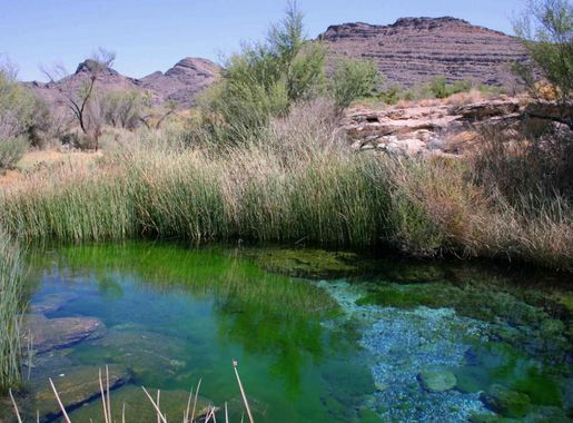 File:Point of rocks springs Kings pool on ash meadows.jpg - Wikimedia  Commons