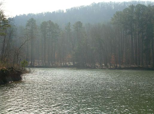 File:Lake Guntersville State Park, Alabama (3859207429).jpg - Wikimedia  Commons