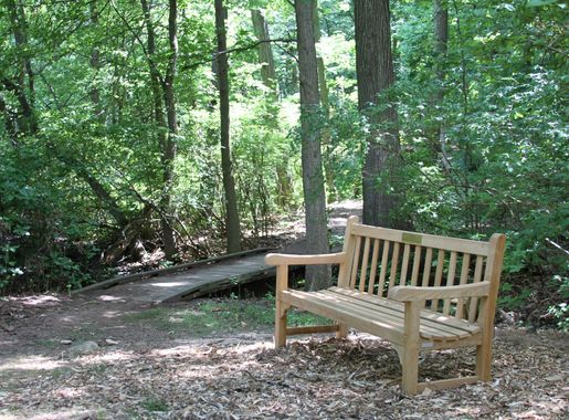 File:The Greenbelt, a series of parks and trails in central Staten Island,  NY .jpg - Wikimedia Commons
