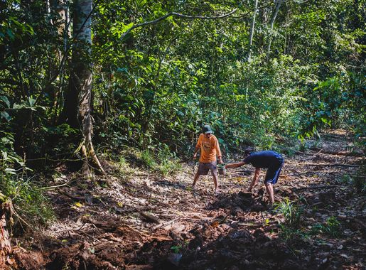 File:Digging For Worms (168889155).jpeg - Wikimedia Commons