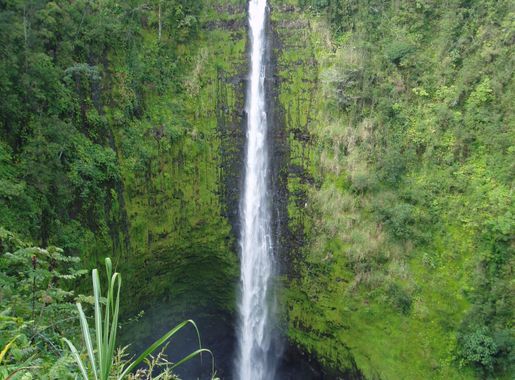 File:Akaka Falls - Waterfall in Hawaii.jpg - Wikimedia Commons