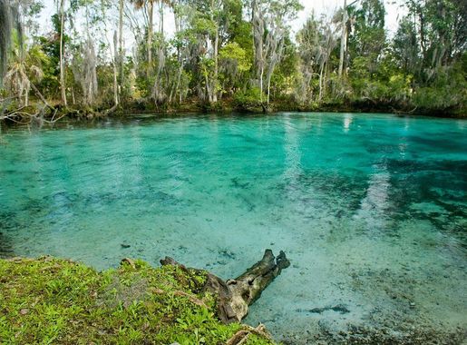 File:Three sisters springs near crystal river national wildlife refuge.jpg  - Wikimedia Commons