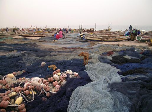 File:Port de peche Nouakchott.jpg - Wikimedia Commons