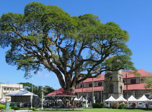 File:Derek Walcott Square (31946218447).jpg - Wikimedia Commons