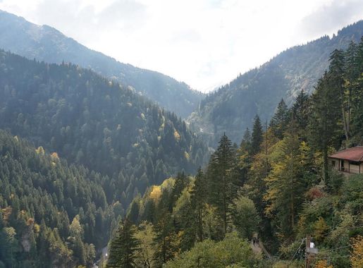 File:61750 Altındere-Maçka-Trabzon, Turkey - panoramio (18).jpg - Wikipedia