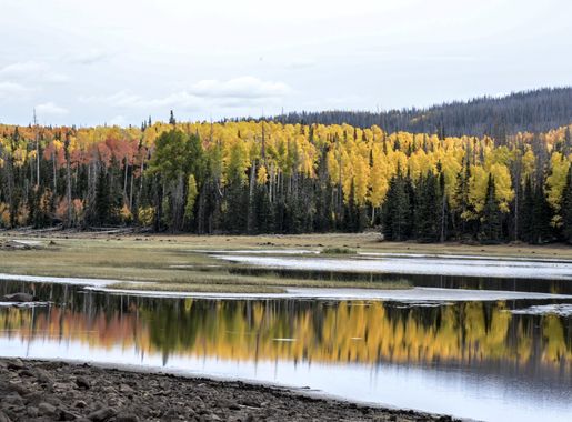 File:Fishlake National Forest, Annabella Reservoir (29215364734).jpg -  Wikimedia Commons