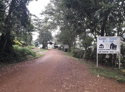 File:Bwindi Impenetrable National Park 20190923 161307.jpg - Wikimedia  Commons