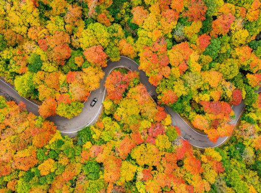 File:Smuggler's Notch Vermont Fall Foliage October 2020 - Flickr - Anthony  Quintano.jpg - Wikimedia Commons