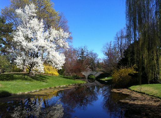 File:Dow Gardens-Spring.jpg - Wikimedia Commons