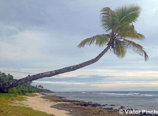 Файл:Туфувай-бич.jpg — Википедия