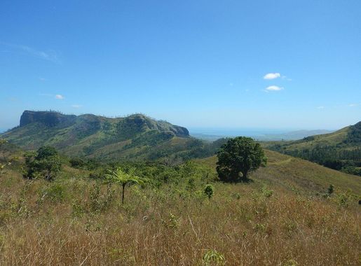 File:View from the slopes of Mount Batilamu, Koroyanitu National Heritage  Park, Viti Levu, Fiji (1) - August 2016.jpg - Wikimedia Commons