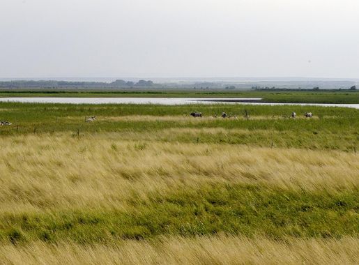 File:Fertoe-Hansag-Nationalpark 36.JPG - Wikimedia Commons