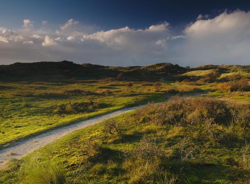 File:Nationaal Park Zuid-Kennemerland (23).jpg - Wikimedia Commons