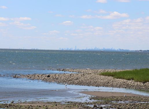 File:Greenwich Point Park 2.jpg - Wikimedia Commons