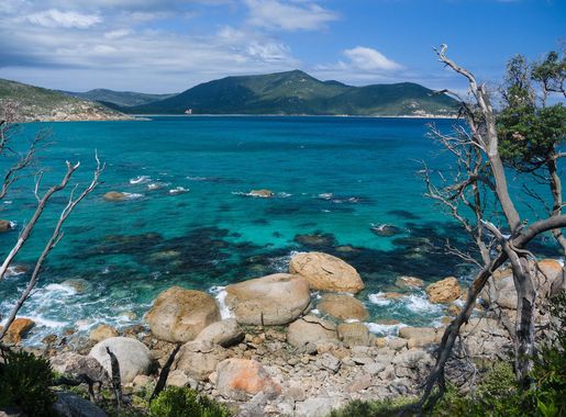 File:110319-054 Little Oberon Bay.jpg - Wikimedia Commons