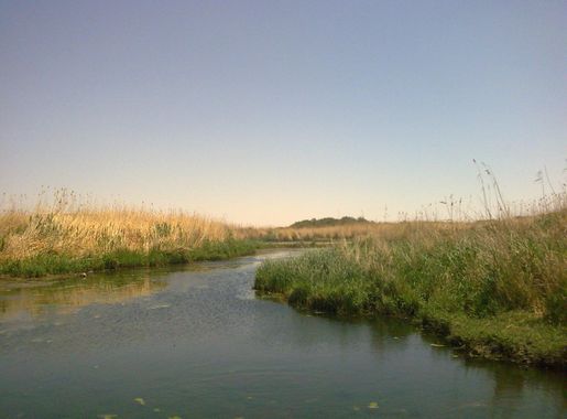 ملف:Azraq view.jpg - ويكيبيديا