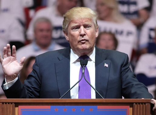 List of rallies for the 2016 Donald Trump presidential campaign - Wikipedia