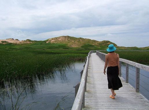 File:PEI-national-park-Greenwich.jpg - Wikimedia Commons