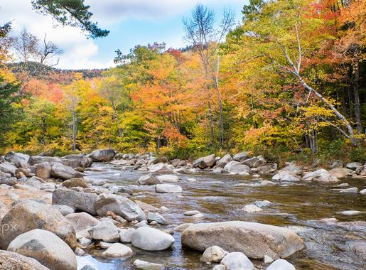 File:Autumn In New Hampshire (128325987).jpeg - Wikimedia Commons