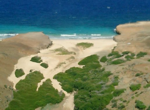 File:ARIKOK NATIONAL PARK - DAIMARI BAY - panoramio.jpg - Wikipedia