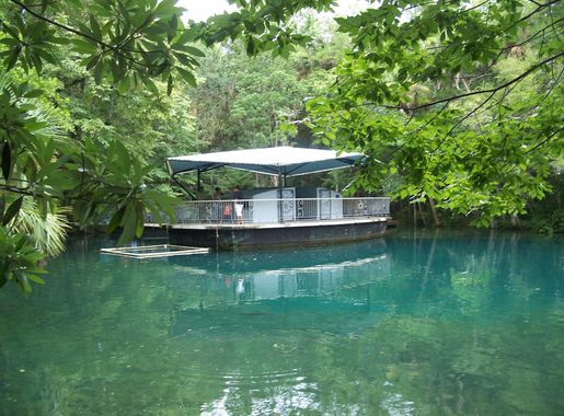 File:Homosassa Springs State Park under obs01.jpg - Wikimedia Commons