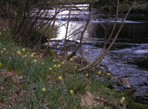 File:Warche-Tal 1.jpg - Wikimedia Commons