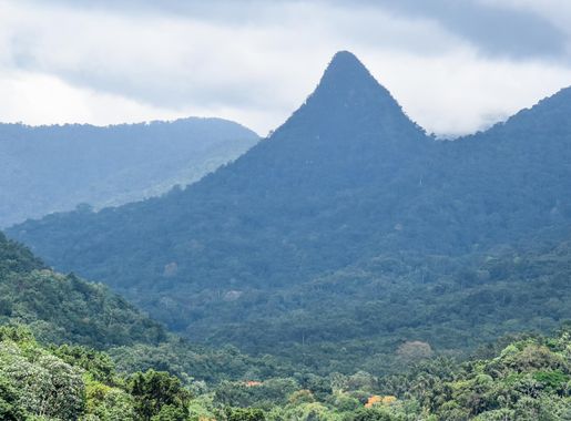Datei:Typical landscape of the park in Caué district.jpg – Wikipedia