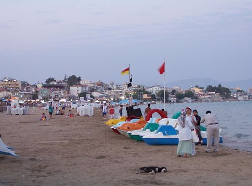 Fayl:Altinkum.JPG - Vikipediya