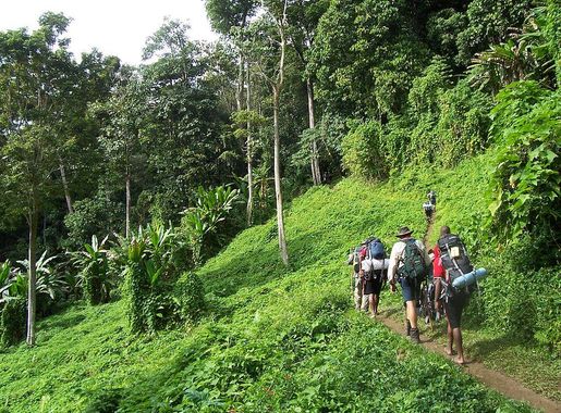 File:Kokoda track Papua New Guinea.JPG - Wikimedia Commons