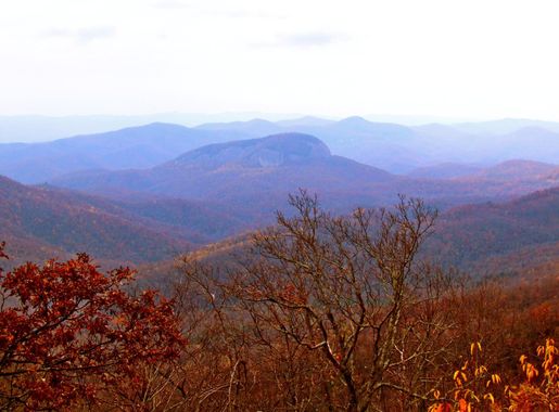 File:Pisgah National Forest (8143273310).jpg - Wikimedia Commons