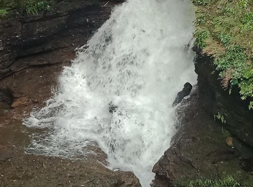 File:Davis Falls - Pokhara, Nepal.jpg - Wikimedia Commons