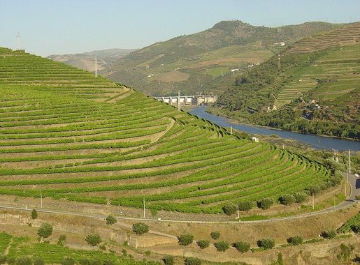 File:Régua Douro 4.JPG - Wikipedia