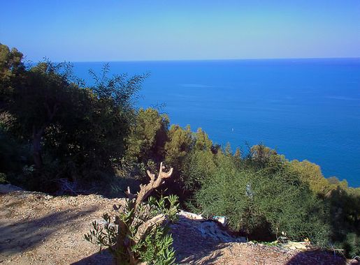 Free Images : beach, landscape, coast, tree, rock, ocean, horizon,  mountain, sky, hill, shore, view, vacation, cliff, bay, blue, terrain, body  of water, shrubs, cape, mediterranean sea, the republic of tunisia, sidi