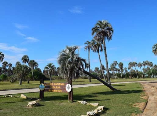 File:Argentina - Entre Ríos - Parque Nacional El Palmar (entrada).JPG -  Wikimedia Commons