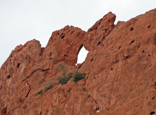 File:Kissing Camels 2 (49175937728).jpg - Wikimedia Commons