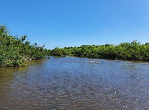 File:Río Santa Lucía Chico a la altura de Paso Severino.jpg - Wikimedia  Commons