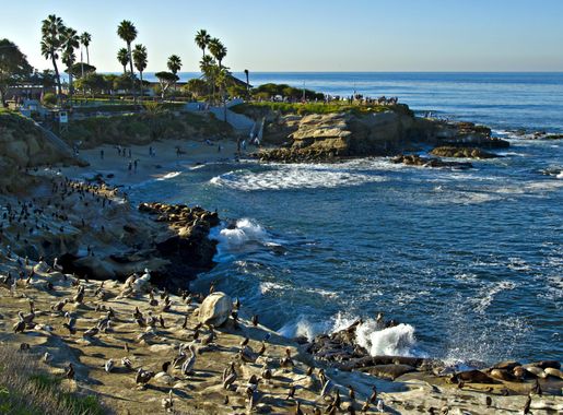 File:La Jolla Cove view.jpg - Wikimedia Commons