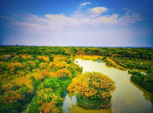 File:Ratargul Swamp forest from watch tower 01.jpg - Wikimedia Commons
