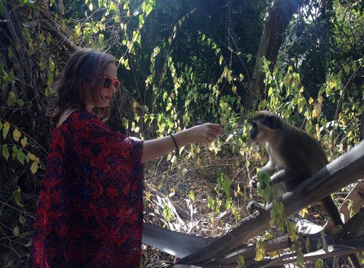 File:Bijilo Forest Park (Monkey Park), Senegambia, The Gambia  (15603186973).jpg - Wikimedia Commons