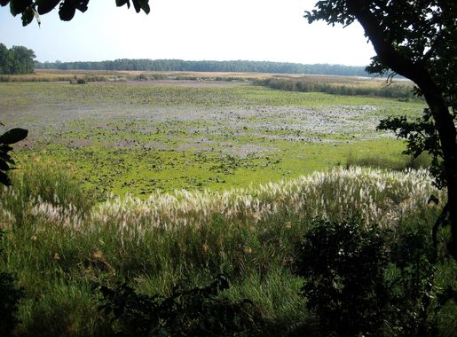 File:Ranitaal1.JPG - Wikipedia