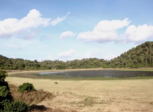 File:Lake Paradise.jpg - Wikimedia Commons