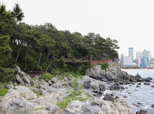 파일:Dongbaek Island 20200522 016.jpg - 위키백과, 우리 모두의 백과사전