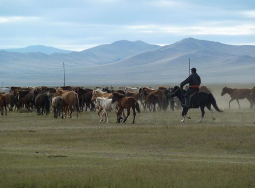 File:Khustain Nuruu National Park (7).JPG - Wikimedia Commons