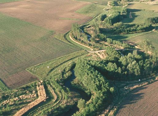 File:Riparian buffer on Bear Creek in Story County, Iowa.JPG - Wikipedia