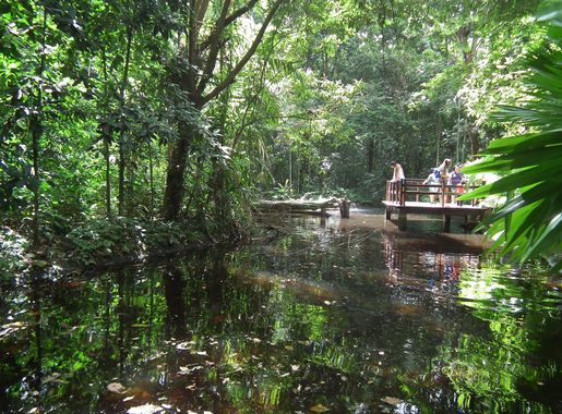 File:No Jardim Botânico do Recife 14.jpg - Wikimedia Commons