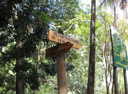 File:Parakeet Trail (4824000874).jpg - Wikimedia Commons